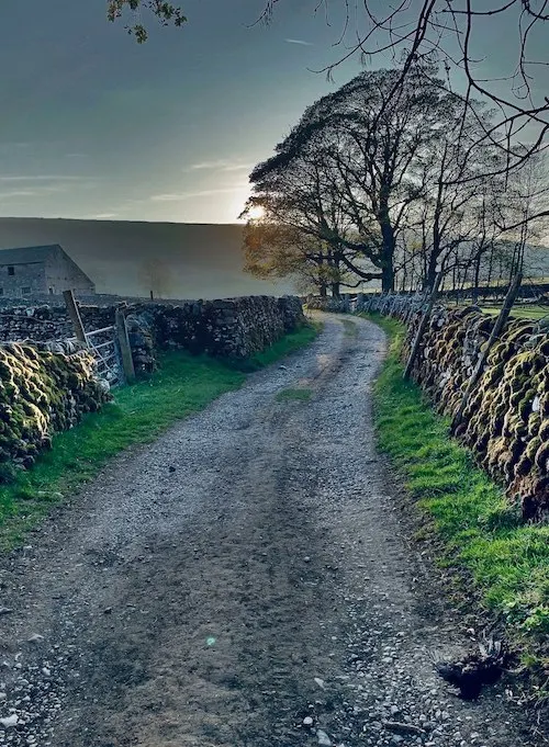 Photo by David Whyte