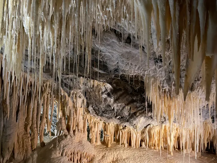 Mole Creek Caves