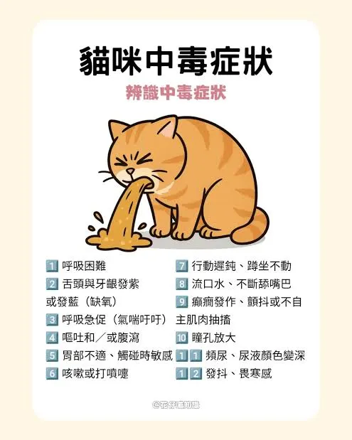 如果貓主子不小心中毒,不要猶豫,請立即聯絡獸醫,越早處理越好。!