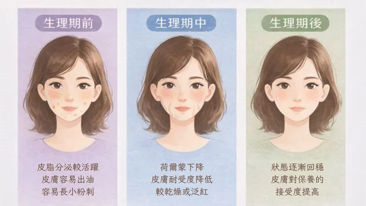 生理期皮膚變化示意圖,說明生理期前皮脂分泌較活躍、生理期中皮膚耐受度降低,以及生理期後膚況逐漸回穩的差異。Image by Frankie