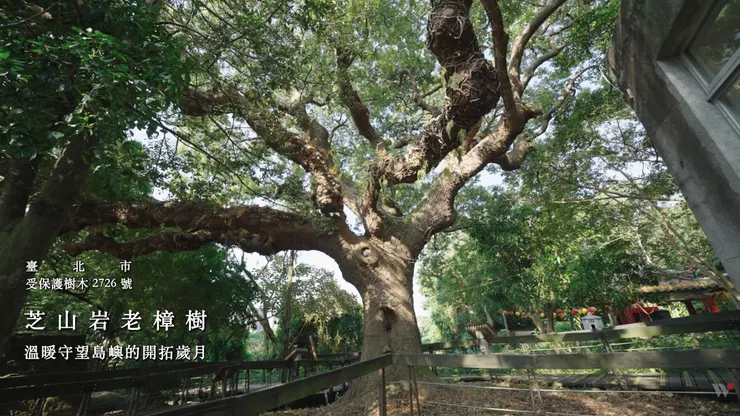 楊錦聰《心的凝望》MV截圖