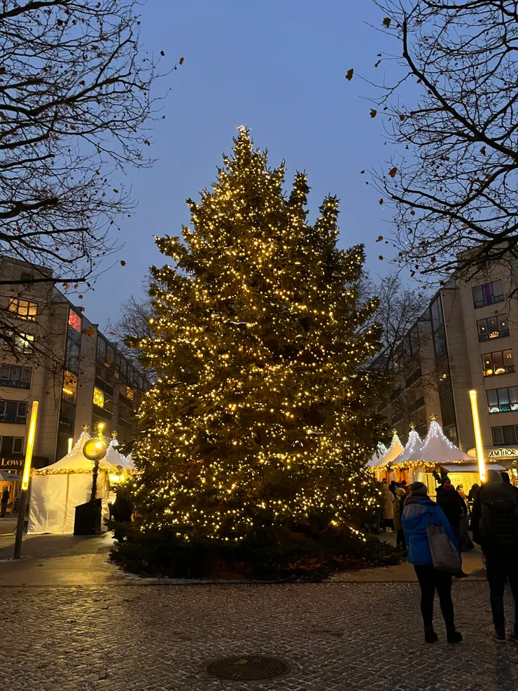 德勒斯登聖誕市集
