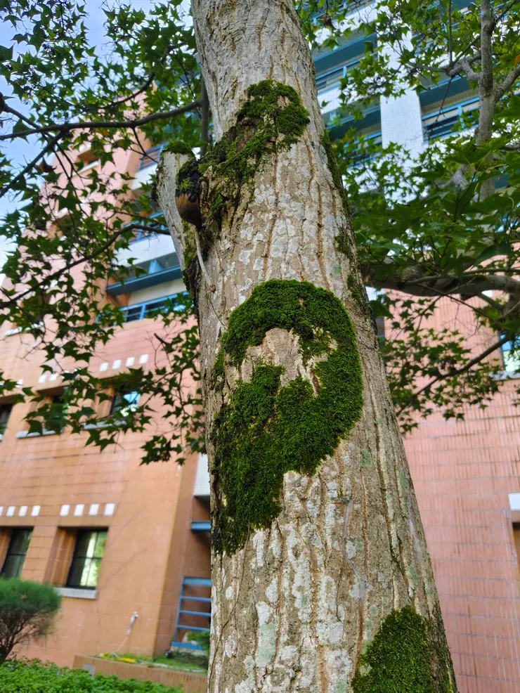 另一半心 在哪呢?