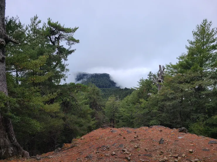 感覺快下雨了，第一天就被落後進度要晚到營地了