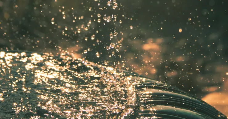 Photo by John Wilson on Unsplash