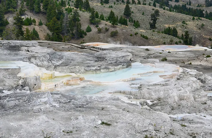 Mammoth Hot Spring／猛瑪溫泉