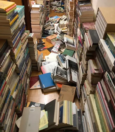 書到震時方恨多