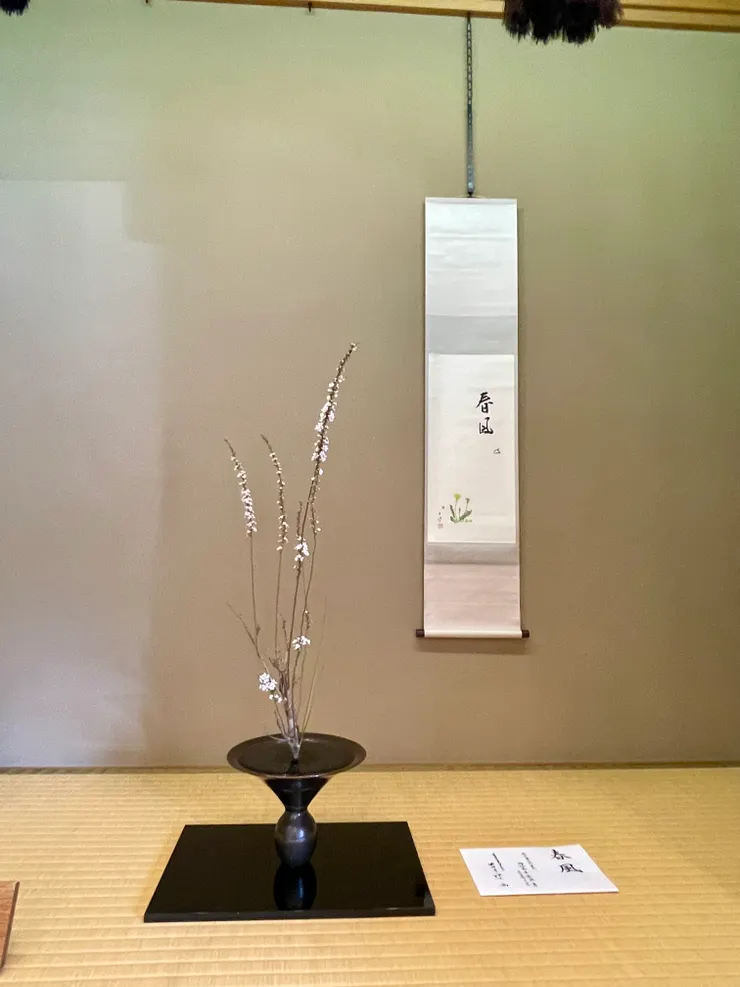 池坊六角堂花展