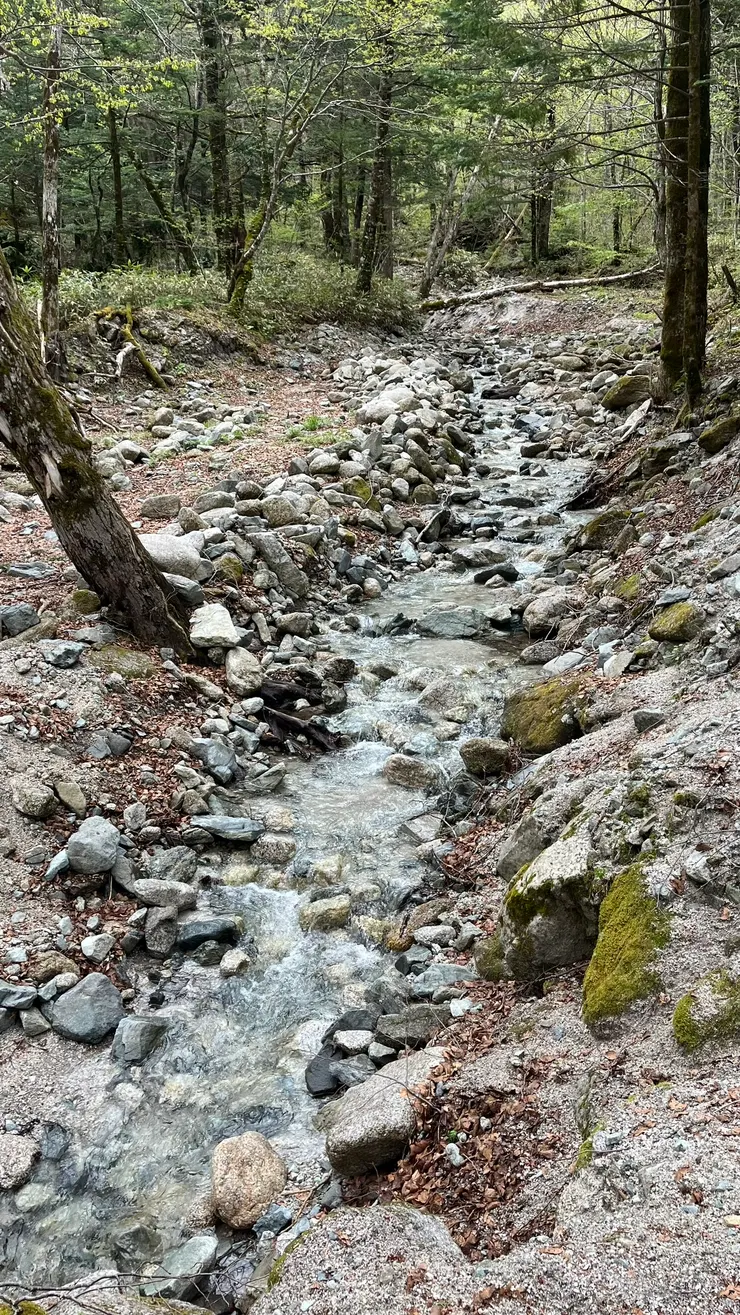 看照片好像都聽到水流聲。
