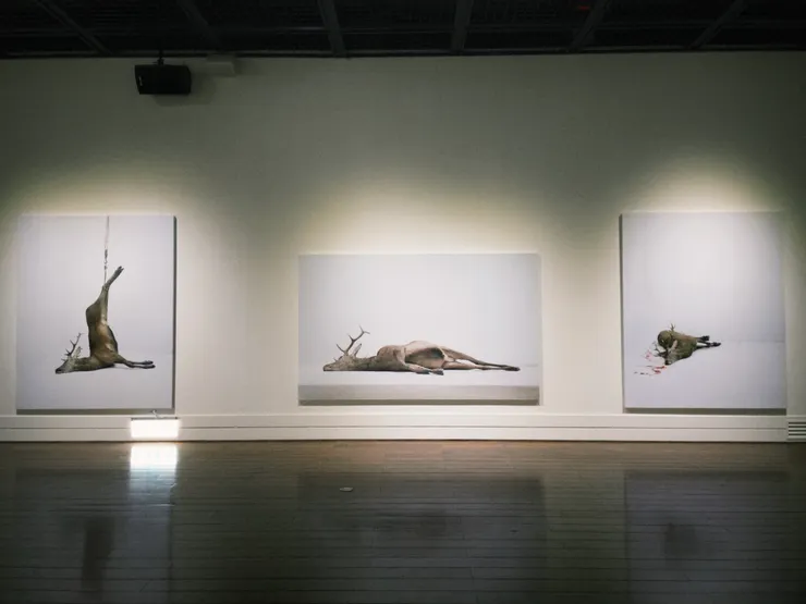 Éric Poitevin 《你見過的風景我走過》動物之殤系列作品