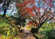 園區健走步道（圖片截圖於網路）