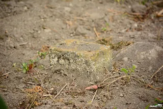 裝車場支線分歧處的警衝標