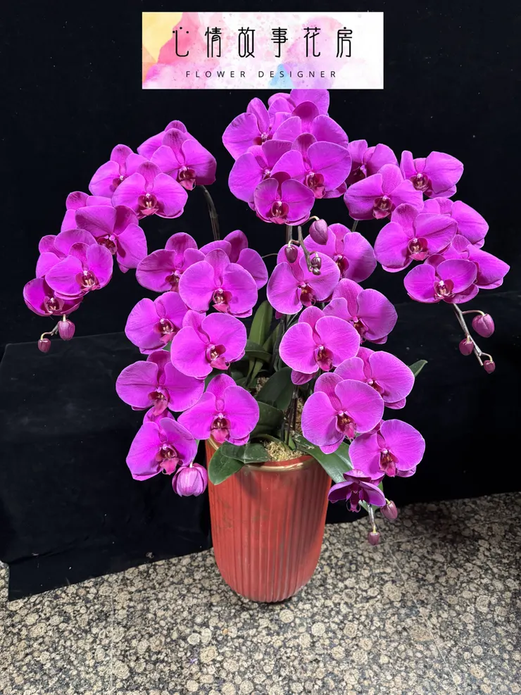 台南少數使用「出口等級蘭花」的花店｜重要場合送禮，一定要知道心情故事花房