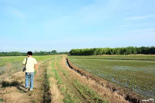 往新營方向(7349)