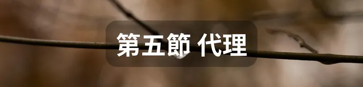 第五節 代理