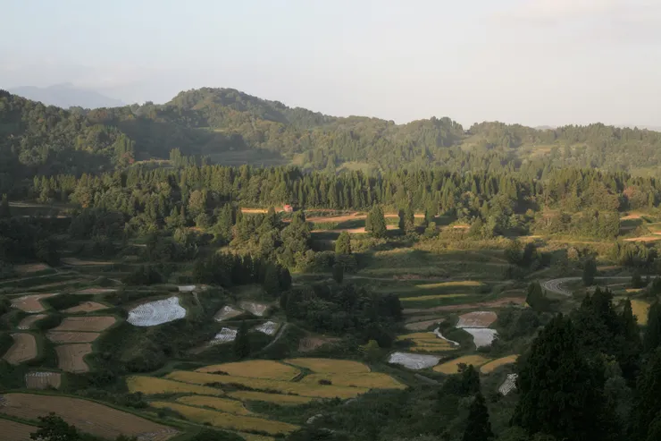 ▲秋日的越後妻有。（阿G 攝）