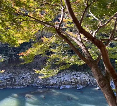 陽光燦爛綠意灑的沙龍