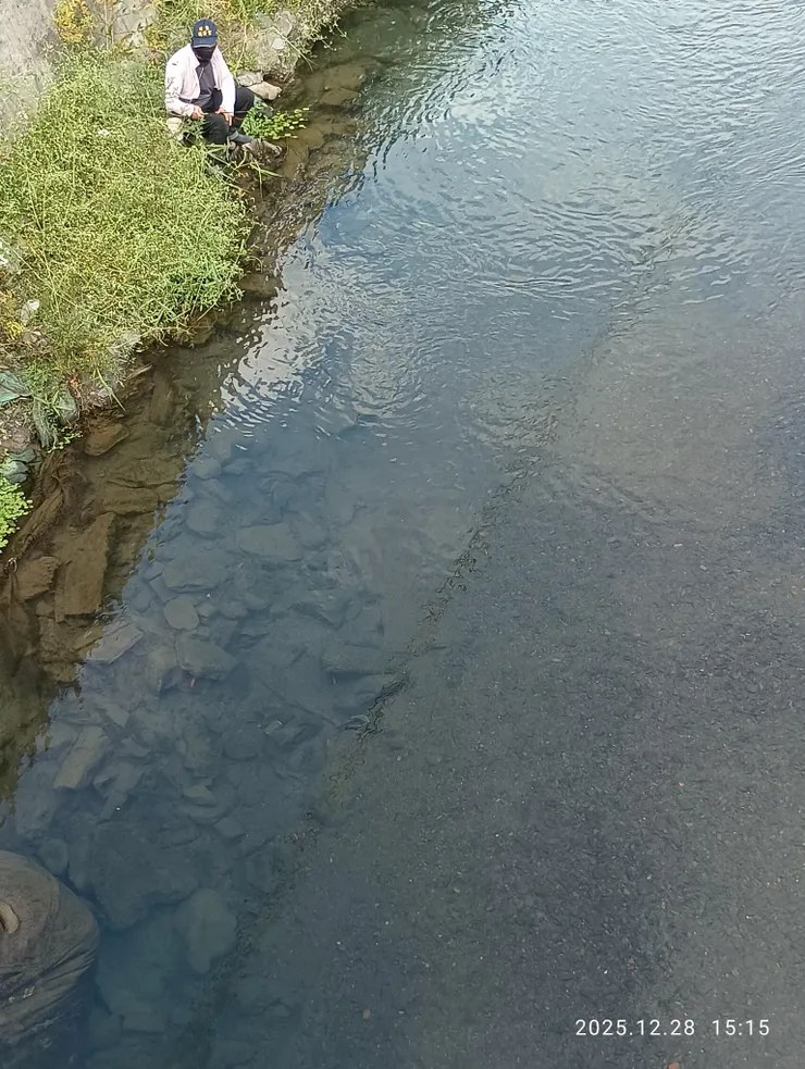水清澈，魚可見