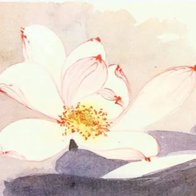 五蘊山人的沙龍