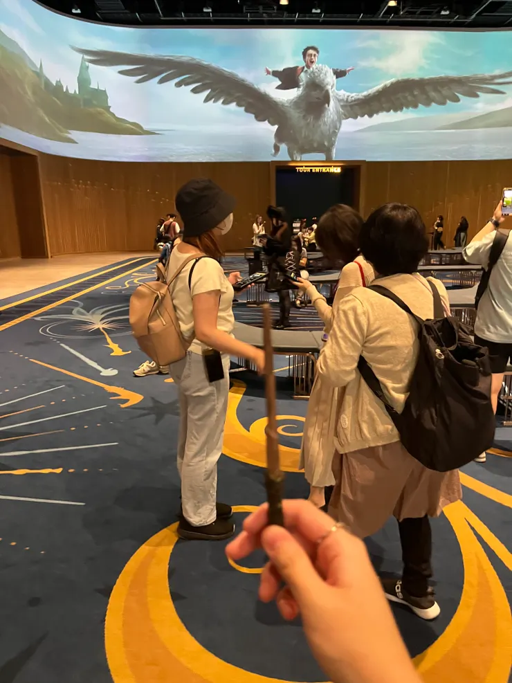 我帶來的小魔杖🪄但沒什麼用處哈哈