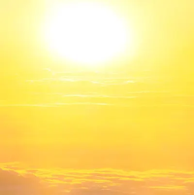 国际佛教僧尼总会