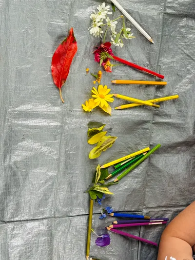 教學-教育這條路