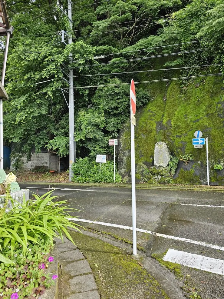 這個分叉路口就是mari跌倒的地方