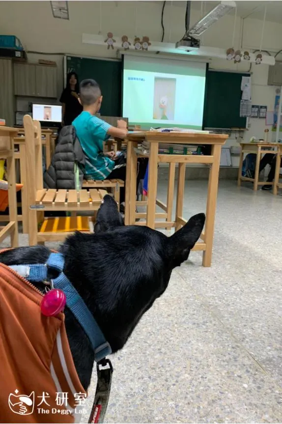 小黑與同學一起上課