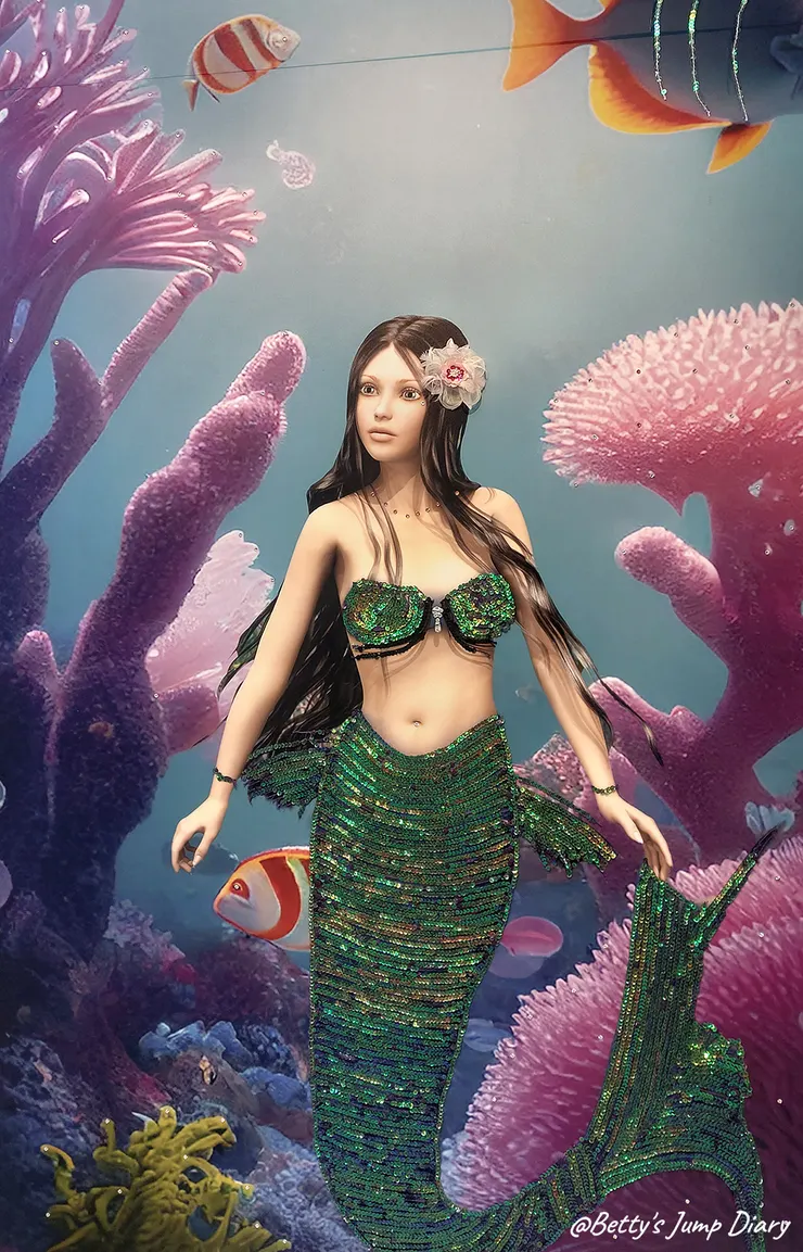 ▲台61線「新豐休息站」/圖片來源:Betty's Jump Diary