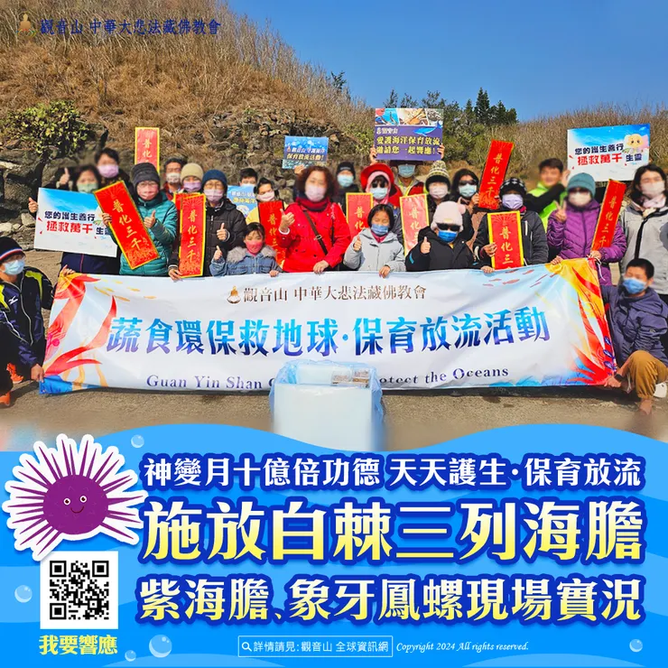 觀音山 神變月十億倍功德 天天護生‧保育放流 施放白棘三列海膽、紫海膽、象牙鳳螺現場實況