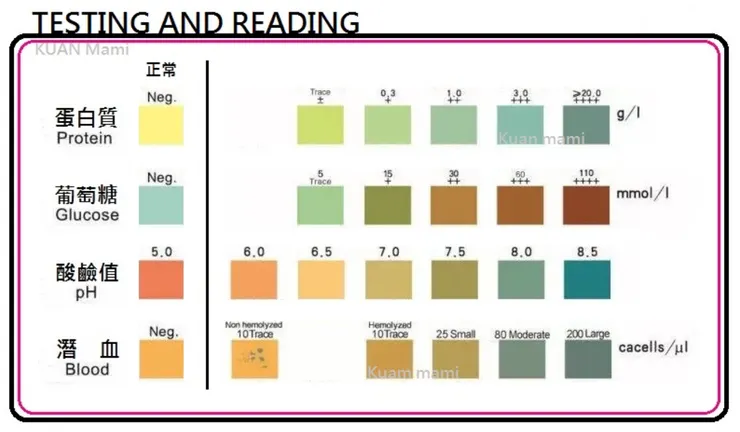 尿液試紙的顏色表