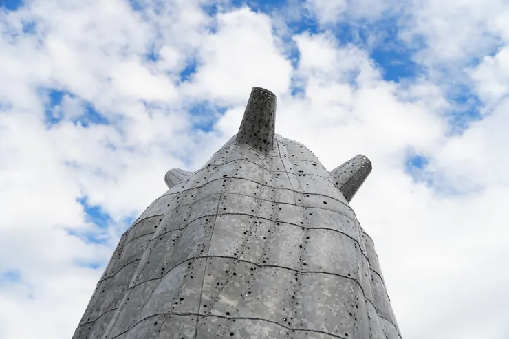 以樹根朝天的「倒立的樹」