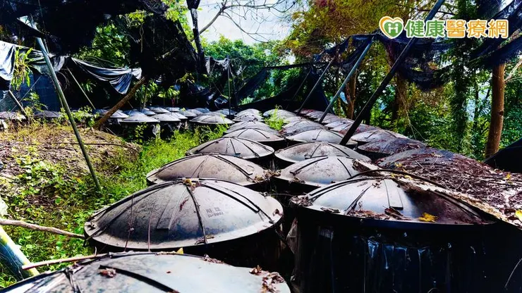 黃金安先生對公益與永續環境（ESG）的承諾也延伸到土地。