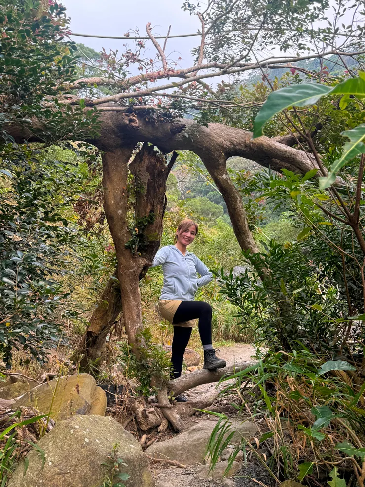 一小段平路後再上切接上山徑