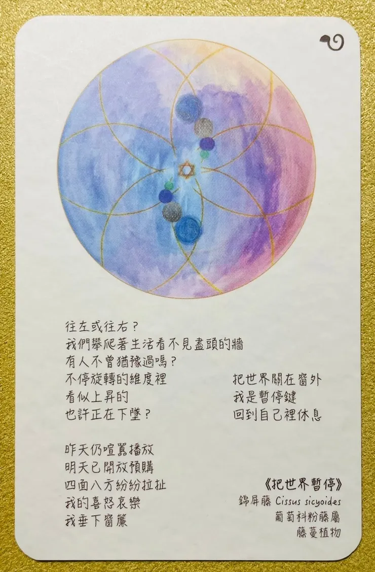 1.內在森林植物詩畫卡_把世界暂停