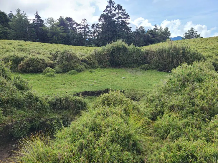 附近的超避風操場營地