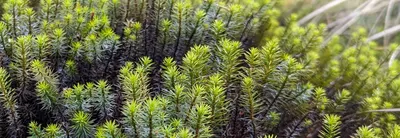 感官與心靈的探索的沙龍