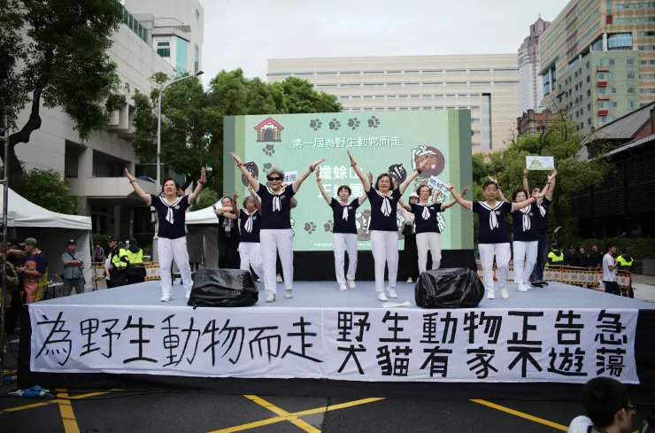 蟾蜍山正妹團上台獻上熱情的舞蹈! 誰再說長輩不懂野生動物不懂保育,我就拿這張照片K他。