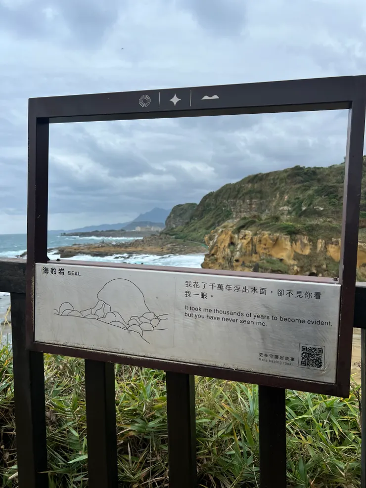 取景框。看不出那邊是頭的海豹岩🦭