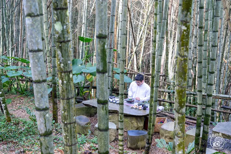 竹林茶席,瑞里茶席,瑞里茶葉,瑞里體驗,瑞里綠色隧道,綠色隧道,瑞里秘境,竹林小徑,瑞里竹林,阿里山秘境,瑞里景點,阿里山景點,嘉義景點,阿里山步道,瑞里步道