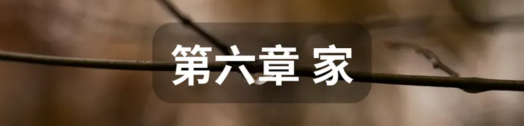 第六章 家