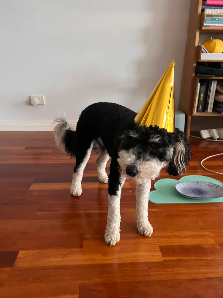 Minnie差d食左頂帽。。。