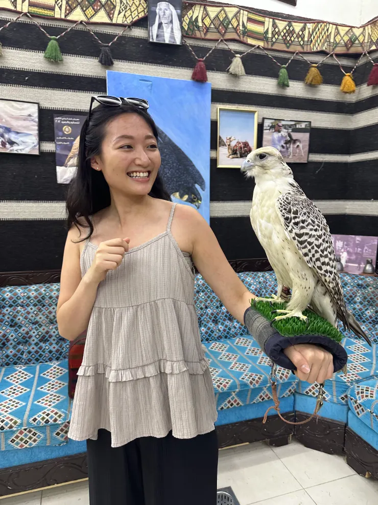 在卡達有很多獵鷹的商店,專門販售比賽用的獵鷹。