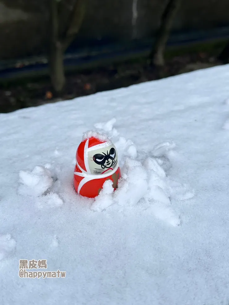 在雪地裡的小小達摩