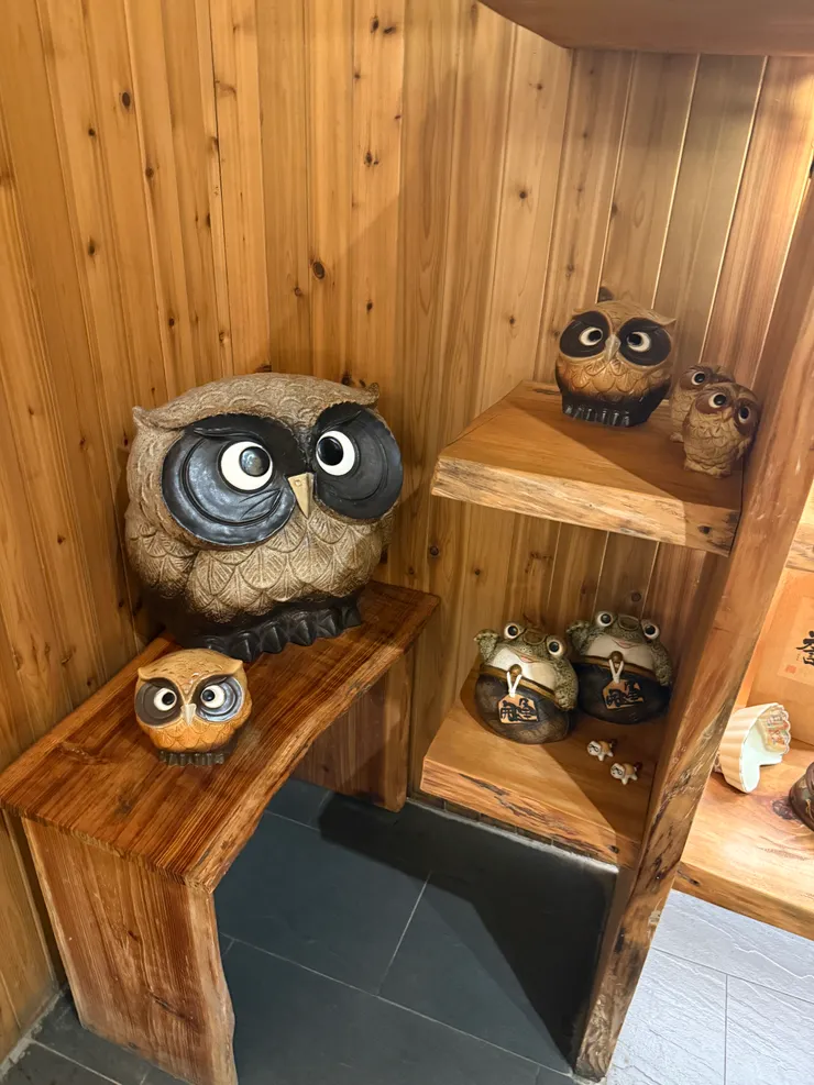 貓頭鷹們太可愛了，必須給張特寫!!!