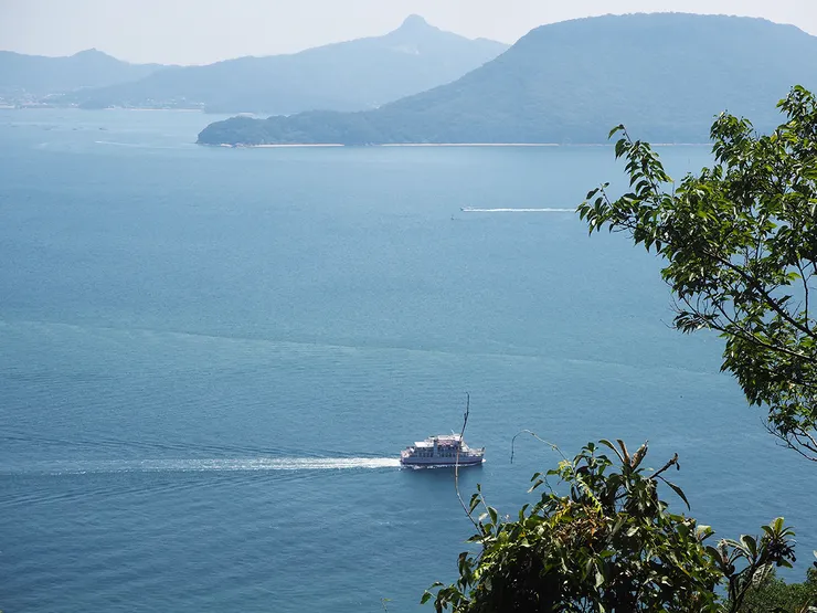 豐島拍的美照。覺得把樹枝P掉就可以當官方圖了哈哈