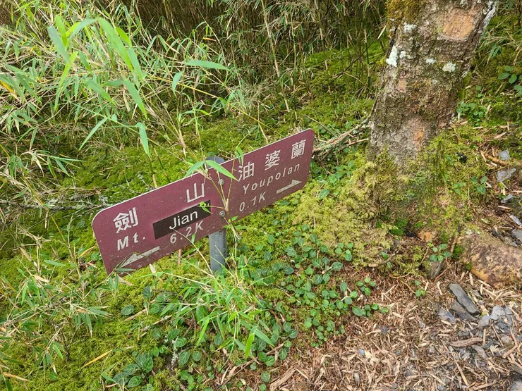 回程路是痛苦的，尤其是佳陽山到營地的路。佳陽山才是鳥山吧!!
