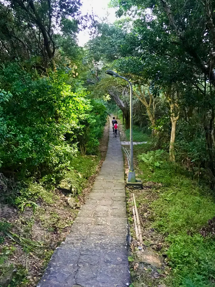 下山逐漸天黑，步道有完善的照明