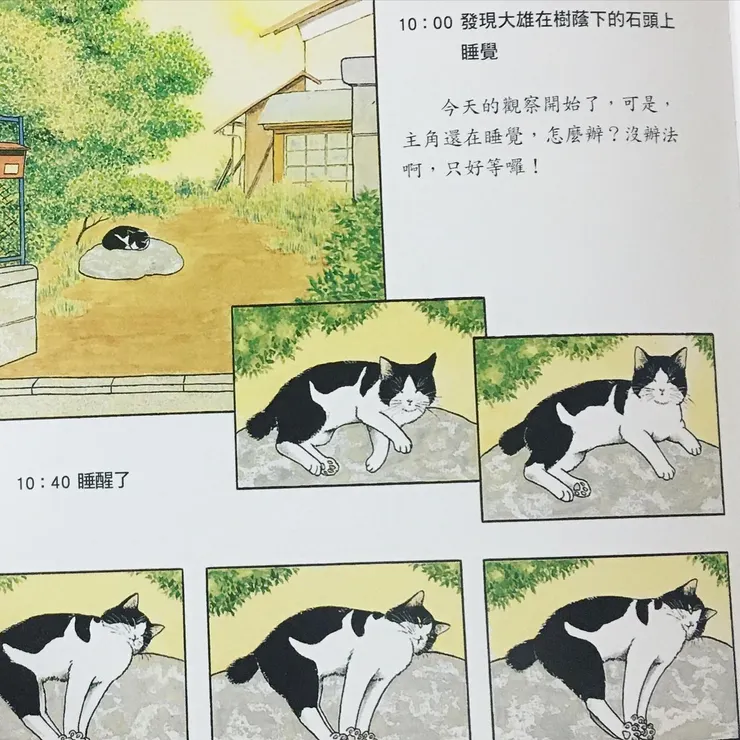 《野貓的研究》