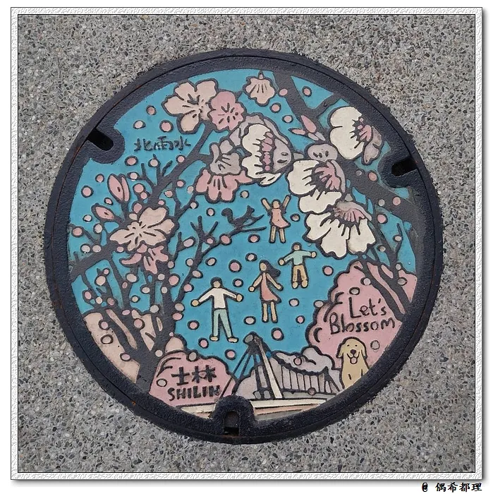 士林區「Let's Blossom陽明山的野櫻花」